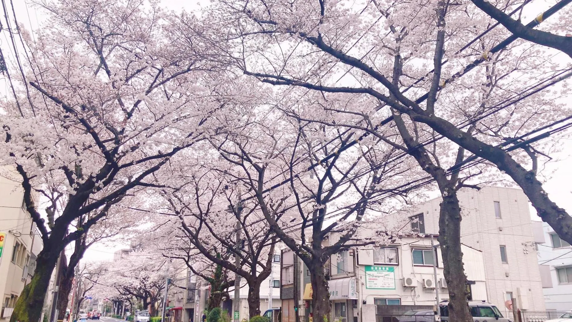 アンドステイ旭ヶ丘1丁目 Apartment Tokyo
